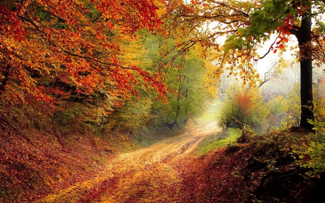 Die Natur als perfekter Taktgeber für Glück und Erfolg