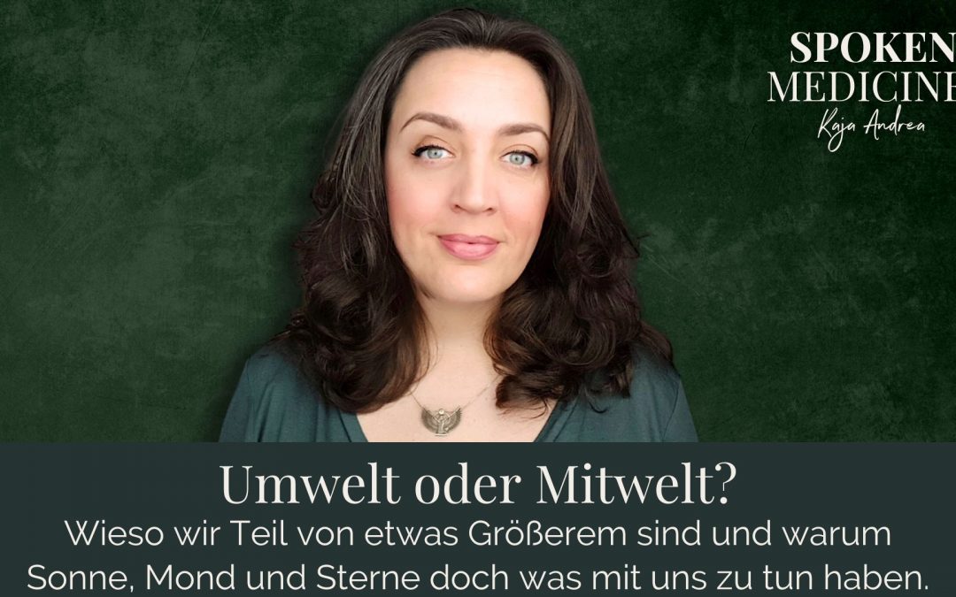 Umwelt oder Mitwelt?